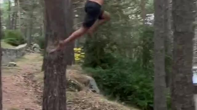 Imitate monkeys climbing trees