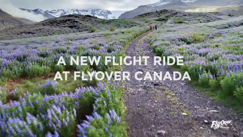 FlyOver: Legendary Iceland Trailer