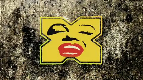 Was steht in der Tora & Co?