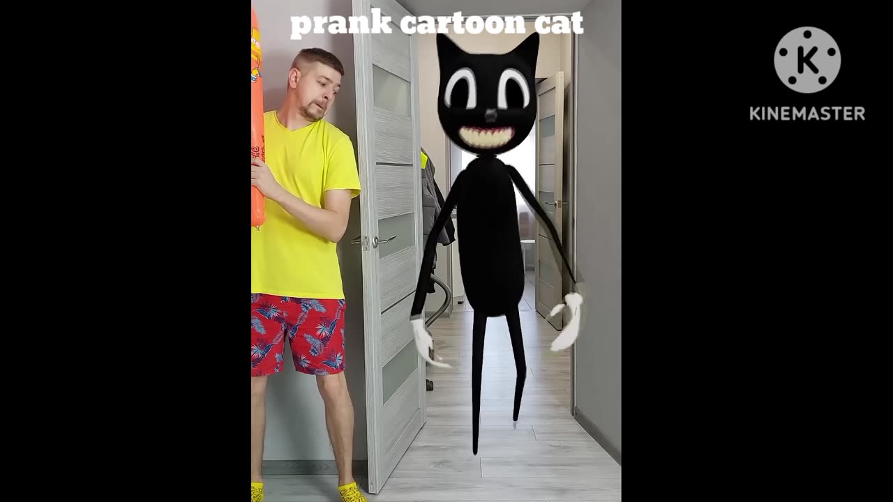 Prank with cat 😺