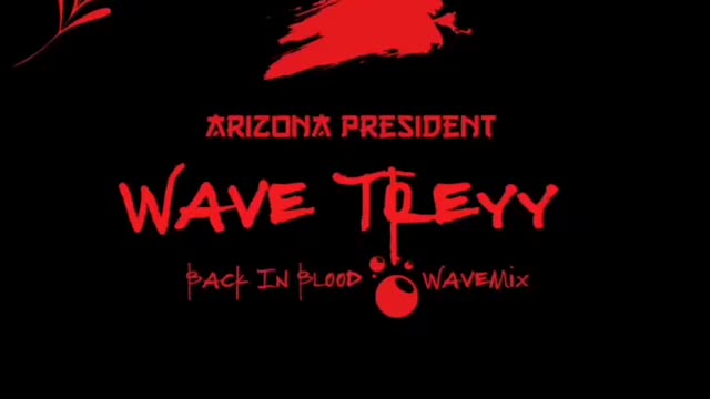 Wave Treyy X In Blood remix