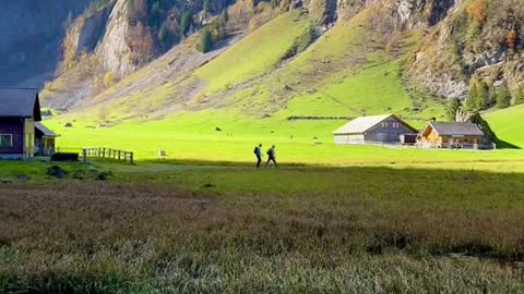 A calming morning walk in Switzerland