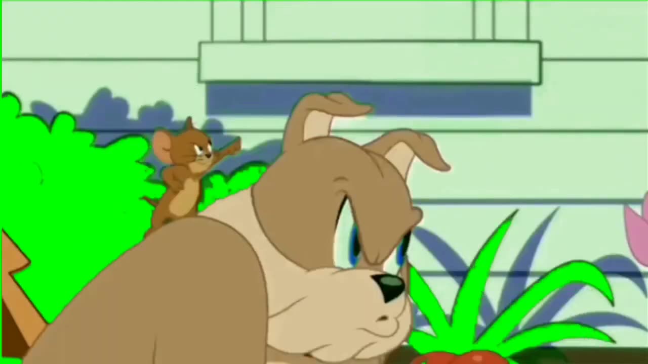 Tom and Jerry video