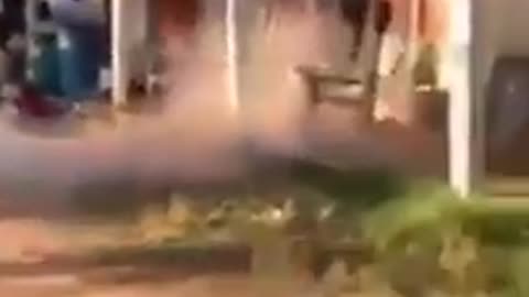 Try not to laugh🤣 Funny animals😹‖ #shorts #funnyvideos