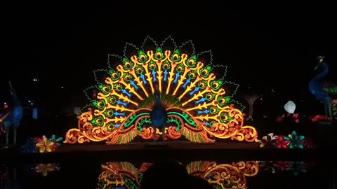 Lighting peacock