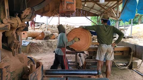 Processing Of Thick Boards From Red Stone Meranti Wood #Bandsaw