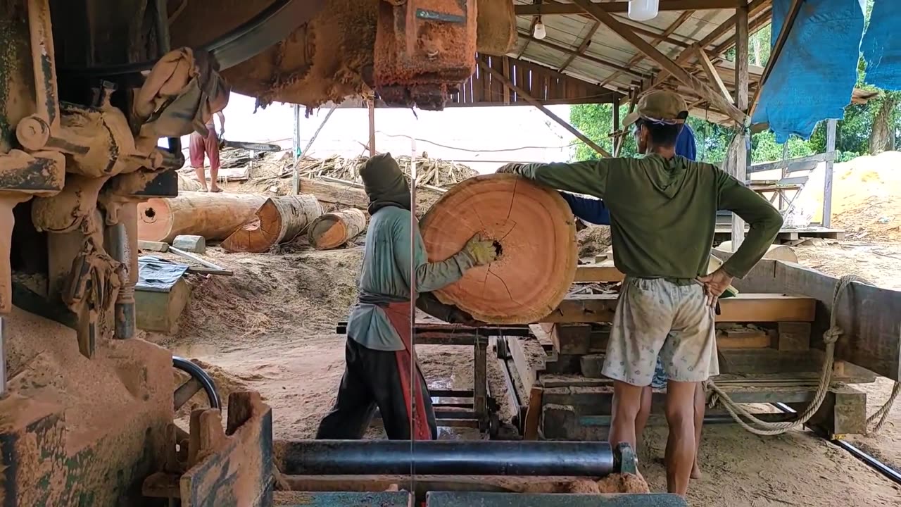 Processing Of Thick Boards From Red Stone Meranti Wood #Bandsaw