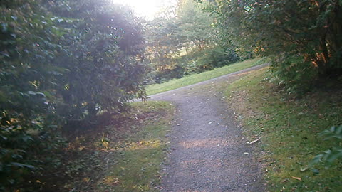 I trädgården bakom Konsul Perssons villa, Helsingborg 5 Aug. 2014