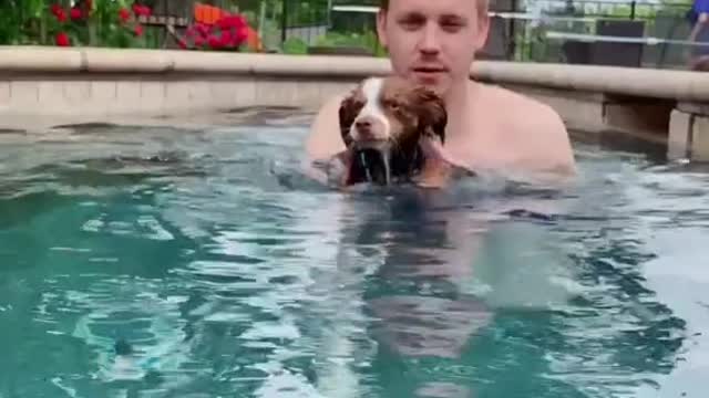 Happy Birthday Ember!