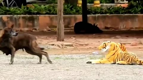 fake Lion and Fake Tiger