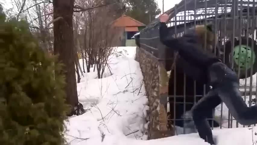 Drunk Russian pets a bear