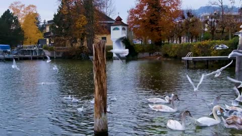 Island Lake and Waterfalls