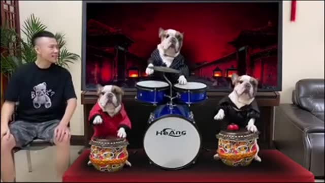 Three cute dog play music instrument