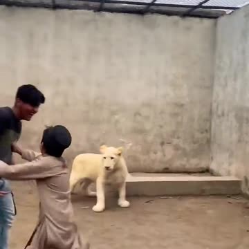 The Most Dangerous Jokes