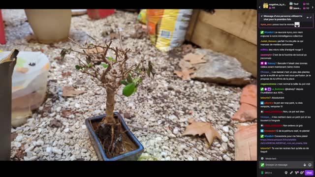 2023-01-09 (1bis.2) - Live sur les benzaï - Twitch Decheterie (version avec chat)