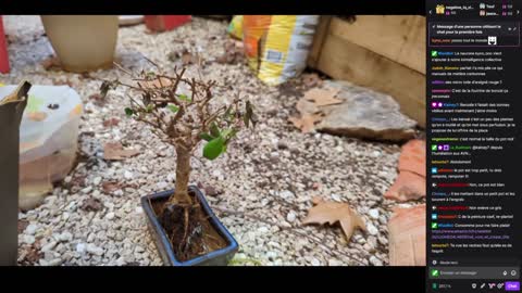 2023-01-09 (1bis.2) - Live sur les benzaï - Twitch Decheterie (version avec chat)