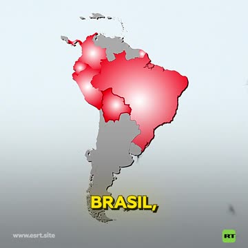 Mosquitos en Latinoamérica portan un virus poco conocido sin cura