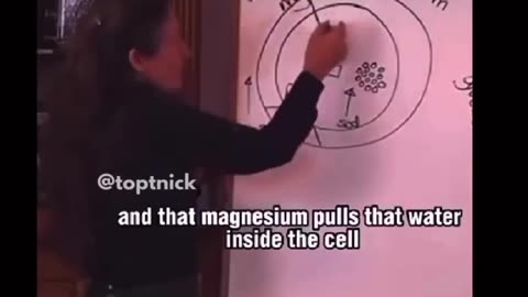 Eles mentiram-vos em relação ao sal!