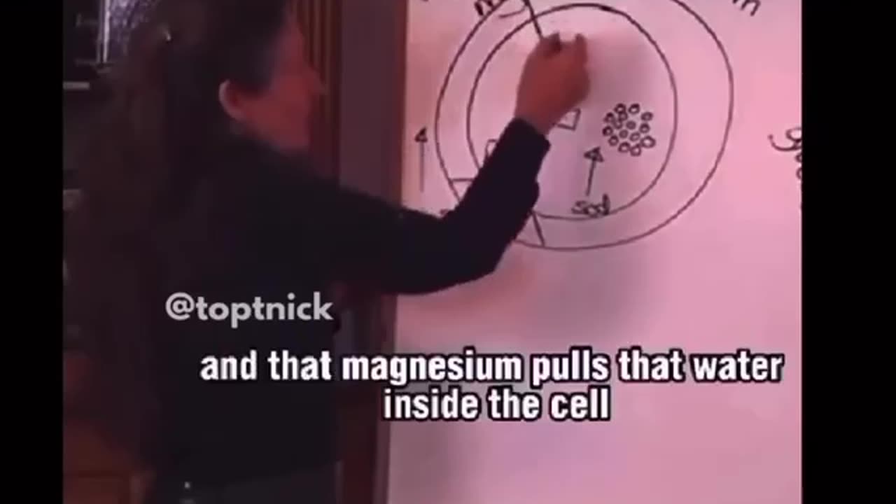 Eles mentiram-vos em relação ao sal!