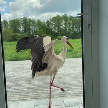 Tough door to door sales in biden economy