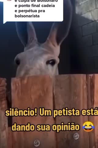 Silêncio! 😂🤫😴