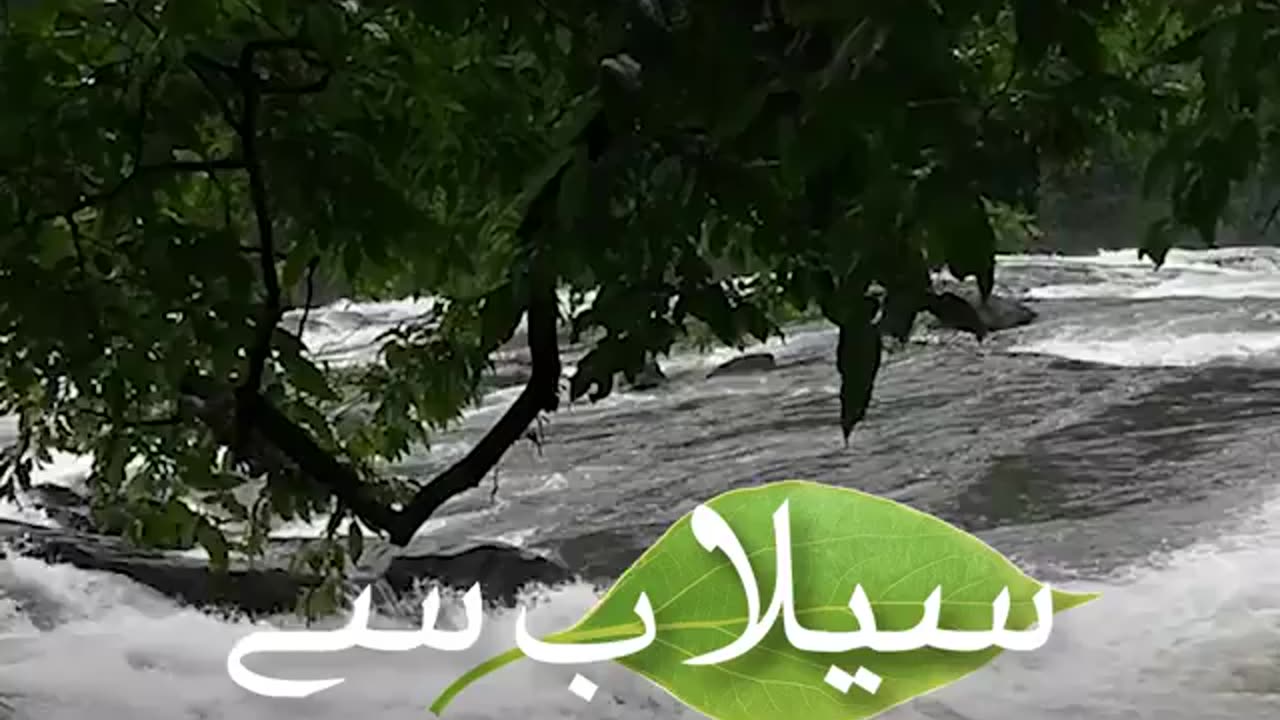 Alias attari qadri rizvi Sahab