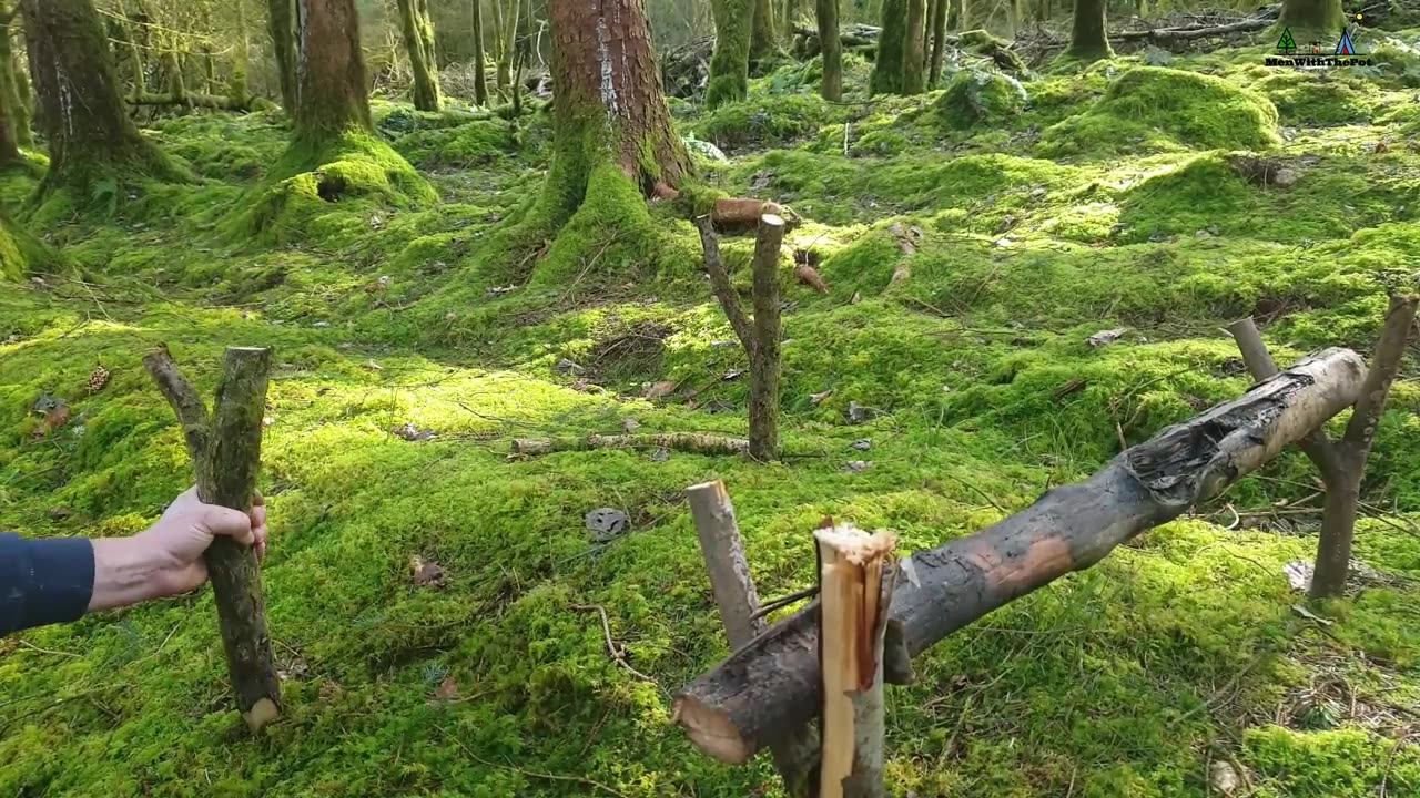 Whole chicken prepared in the forest. Relaxing cooking