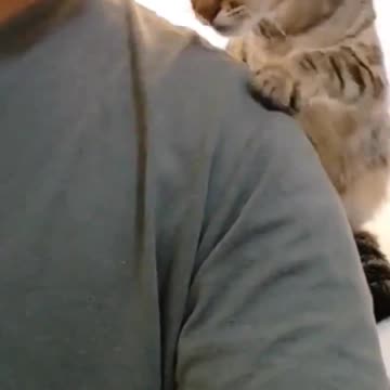 I'll always be there..🐈🐾❤️