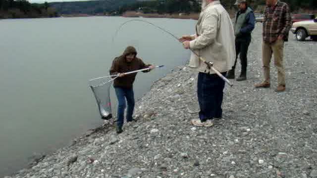 Gold Beach Steelhead