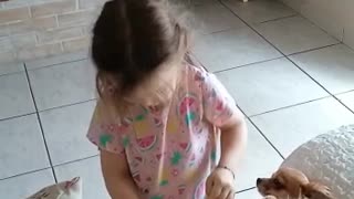 Little Girl Puts a Diaper on Her Dog