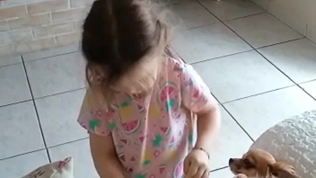 Little Girl Puts a Diaper on Her Dog