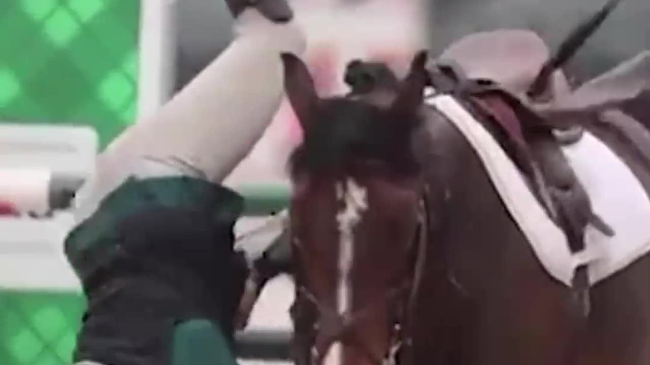 Crazy and Funny Videos!