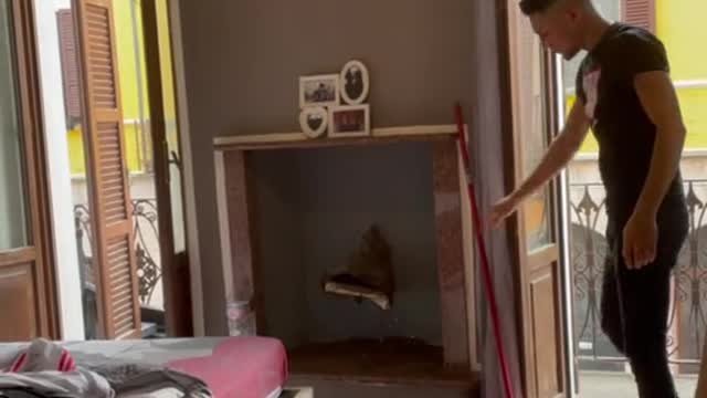 Pigeon Comes Out of Fireplace