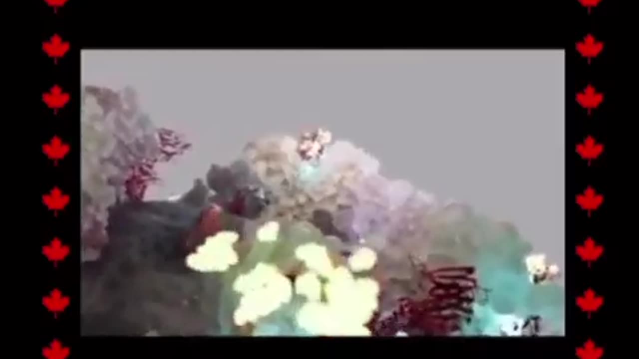 mRNA What Really Happens in the Body