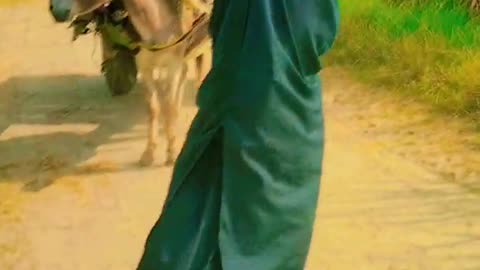 Funny Video 2023