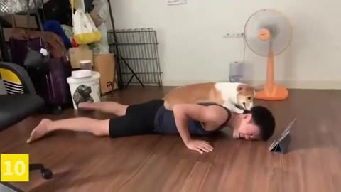 Top 12 funny pet fail workouts | Pets Interrupting Workouts