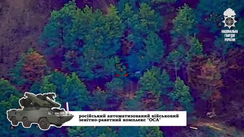 The occupiers tried to disguise the Osa air defense system in the forests of the Kherson