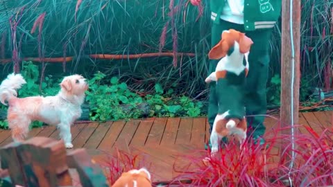 21 Days Old Cutest Puppies Ever You Wanna Raise | Viral Dog Puppy