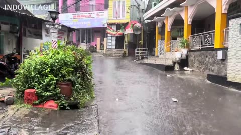 superb sleeping rainfall