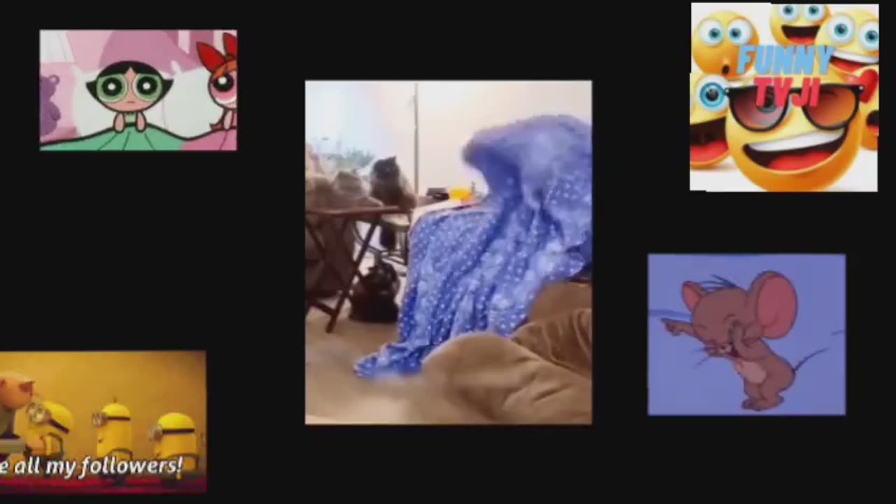 THEY ARE REALLY FUNNY 4