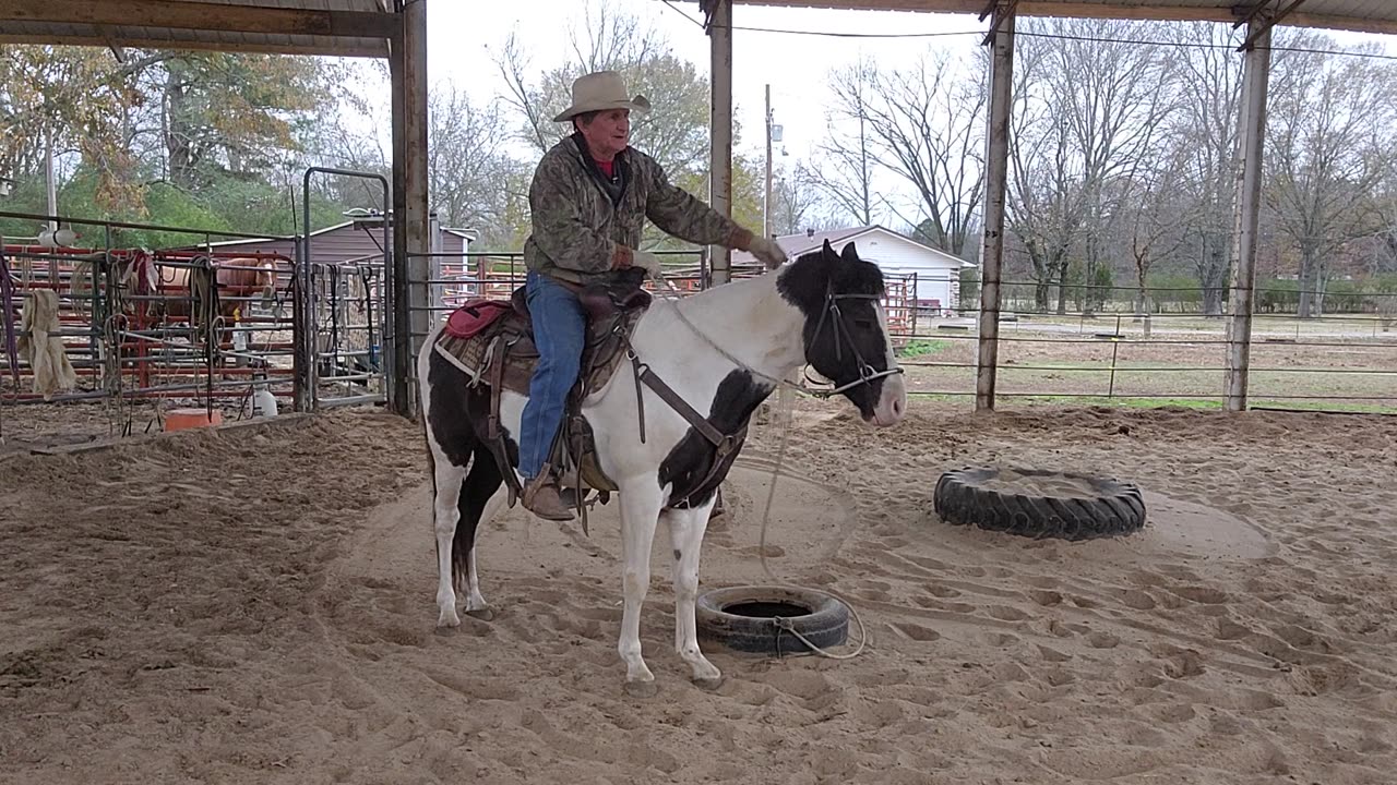 Kitkat draggin and backing with the tire