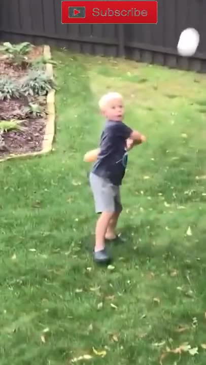 amazing funny Video Clips #shorts (190)