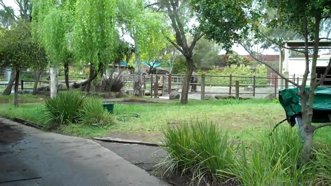 THIS VIDEO IS FOR MY PERSONAL RECORDS PLEASE DO NOT WATCH - Apr 5th 2013