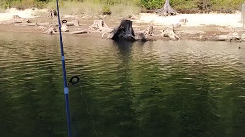 Fishing a back channel at stave lake