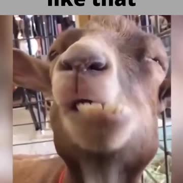 every second person chews like that