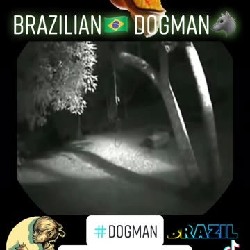Brazilian dogman