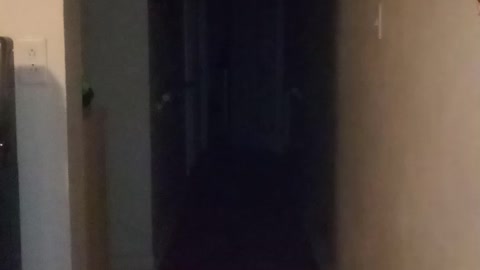 A Haunted Hallway!
