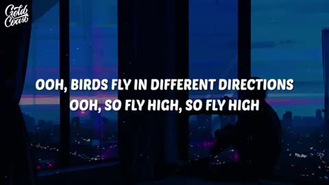 Imagine Dragons - Birds (Lyrics)