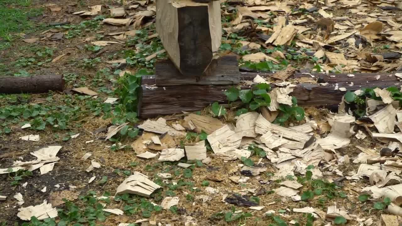 DUGOUT CANOE BUILD - Timelapse, by Outbackmike