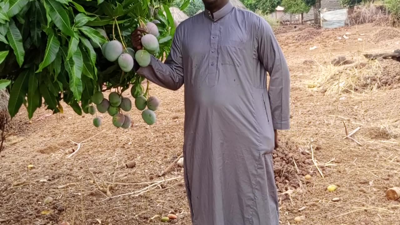 قراءه القران الكريم
